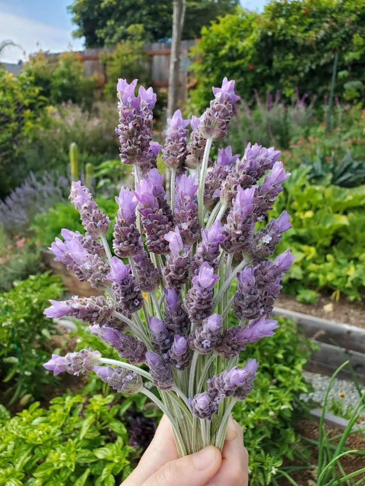 Garden's Whisper Enchanting Flora Array
